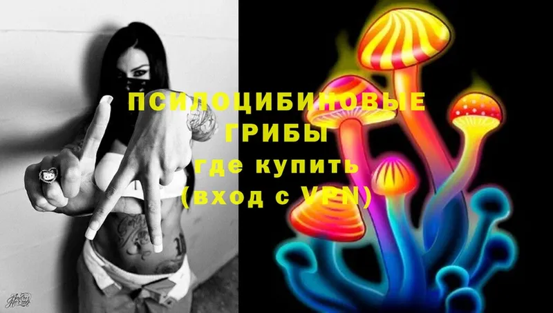 Галлюциногенные грибы Psilocybe  Бокситогорск 